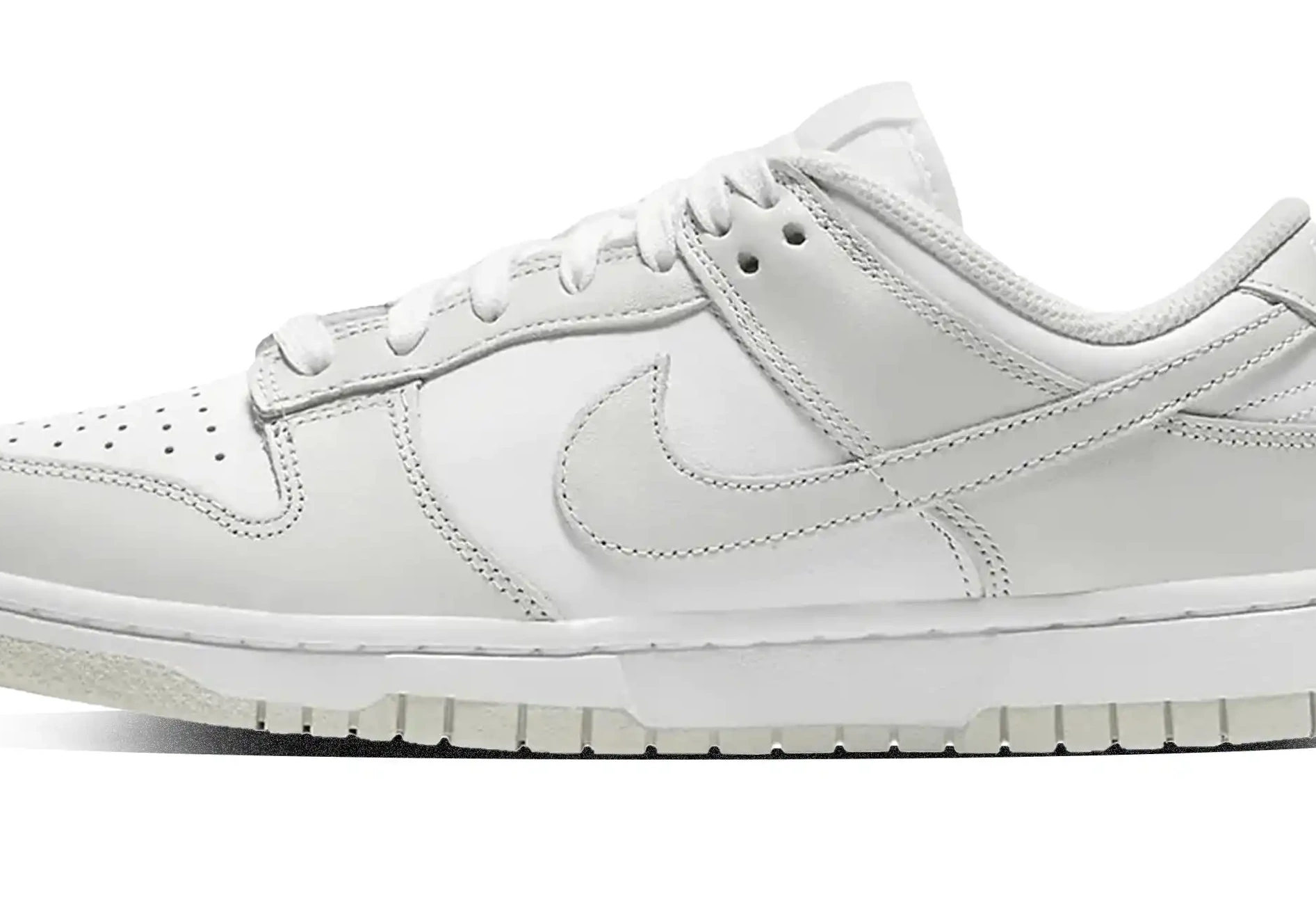W Photon Nike Dunk Dust Low 0628